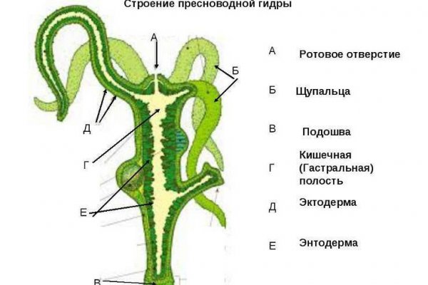 Кракен сайт 2krnk cc