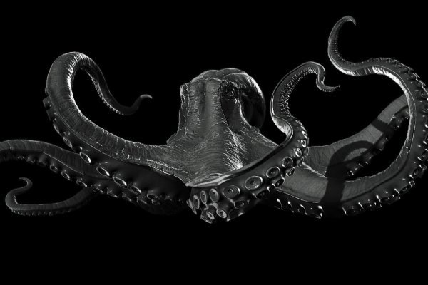 Kraken forum